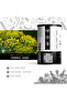 Fennel Seeds 100g | Saunf | Foeniculum vulgare - 3