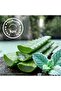 Men Mint and Aloe Vera Shower Gel 400 ml - 4
