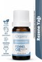Fennel Oil 100% Natural Massage and Body Care Oil Sweet Fennel Essential Oil 10 ml