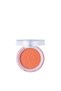 Eyeshadow - Pretty By Flormar Single Matte Eye Shadow 06 PDream - 2