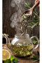 Olive Leaf 200g, Olive Leaves, Oleae Folium, Oleaceae, Immortal Tree Leaf, Natural and Without Additives - 3