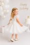 Girls' Elsa Dress Short Sleeve Birthday Party Wedding Special Occasion Evening Dress Frozen Dress - 5