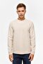 Beige Regular Plain Crew Neck Sweatshirt