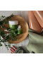 Hena Matcha Peeling 300 ML - 2