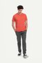 Kırmızı Erkek Regular Basic Tişört - %100 Pamuk | (Regular - Coral) - 3