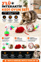 3-Piece Interactive Cat Play Set: Hacıyatmaz, Sound-Activated Plush Mouse and Moving Mouse Toy