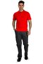 T-shirt Polo Neck Short Sleeve