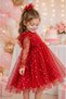 Baby Girl Dress Long Sleeve Tulle Starry Birthday Special Occasion Party Wedding Girl Dress - 2