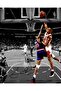 Alayra Framed Scottie Pippen Monster Dunk over Patrick Ewing Signed Photo Autograph Print Wall Art Home Decor