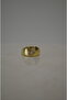 Oval Stone Detailed Gold Steel Ring - 3