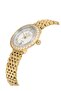 Nc34-39B717-Dsms Women's Wristwatch - 2