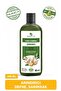 Laurel and Garlic Shampoo, Helps Against Hair Loss 485 ml 12 Pack - 2