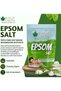 Epsom Salt for Bath, 1Kg | Plants & Foot Soak, Natural Magnesium Sulfate | Relaxing Soak for Muscle Relief, Aromatherapy - 2