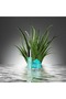 Cfm Water Gel 50 ml - 3