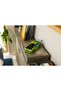 Mitsubishi Eclipse 42229 - 7