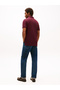 Men Polos - 3