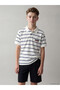 Vizyon New Season Polo Neck Striped Boys' T-Shirt