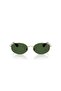 Be3169 110971 55 Women's Sunglasses - 4