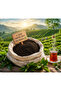 1. Class May Tea 3 kg – First Harvest Black Sea Black Tea with Intense Flavor - 2