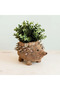 Hedgehog Planter - 3