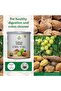 Organic India Triphala Powder - 100g - 3