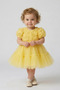 Baby Girl Princess Buckle Included Dress 3D Rose Tulle Layered Bow Detail Birthday Party Wedding Special Occasion Dress 9-24 Months - 2