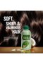 Naturals Enriched Coconut Hair Oil - Goodness Of Coconut, Castor, Henna Promotes Soft, Strong & Silky Hair - Vitamin A,E,F For Extra Nourishment - 250 ml - 5