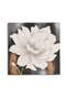 Blomen Hand Painted Canvas Wall Art 60x3x60cm- White - 4