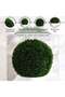 Cedar Boxwood Ball Dia51cm - Green - 4