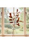 Yulan Leaves Artificial Stem H101cm - Brown