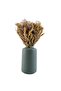 Pampas Grass Bouquet in Ceramic vase H30cm - Green