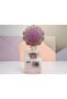 Sanri̇o Kawai̇ My Melody Comb with Silvery Sequins Inside (Purple) - 2