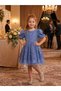 Girls Short Sleeve Sequined Beading Embroidered Puffy Tutu Evening Dress