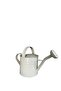 Galvanized Metal Watering Can 3.5 Lt Cream - 5