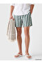 Khaki Short Length Striped Men's Swim Shorts