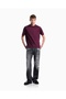 Men's Regular Fit Round Collar Micro Eagle Embroidered Soft Cotton Jersey Fabric Short Sleeve Bor - 2