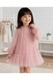 Baby Girl and Child Rose Embossed Tulle Detailed Birthday and Special Occasion Dress with Tulle Sleeves - 4