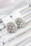 Silver Color Zircon Stone Flower Model Women's Evening Dress Earrings - 2