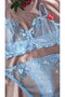 Elanora Amore Red, Pink, Blue Heart Embroidered Lace Unpadded Transparent Bra and Panty Set - 4