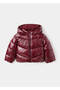 Anorak chari