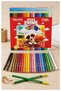 24-Piece Dry Crayon Carton Box 1 Pack Silka 24 Colors Dry Crayon Full Size Vibrant Color Crayon Ok