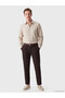 Vizyon New Season Beige Regular Fit Striped 100% Linen Men's Shirt - 2