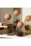 Set of 4 Glass Jars with Cork Lids and Spice Containers (500-700-1000-1250 ml)