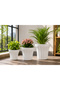3-Piece Ceramic Plant Pot Set for Indoor & Outdoor Plants – Decorative Flower Planters with Modern Textured Design, Small, Medium & Large Sizes for Succulents, Herbs, Flowers & Home Dccor White - 3