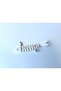 Sardine Jewelry Box, Travel Type Earring and Necklace Organizer - 4
