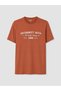 Vizyon New Season Orange Crew Neck Printed Men's T-Shirt - 5