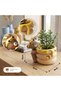 Marketplace Beram Animal Fruit Harvest Flower Pot Bunny Carrot and Bear Honey Bee 2Pcs Set Polyresin Cute Animal Succulent Planters Tree Trunk Honey Pot Vase Desk Flower Pot Pen Pencil Holder Propagat - 3