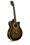 Vintage Olive Burst Semi Acoustic Guitar | Premium Acoustic Electric Guitar with Built-in EQ | Beginner to Professional Guitar UAE