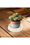 Flowerpot Saucers | Reinforced Saucer for Succulents - Leak-Proof Flowerpot Saucer with Drainage Holes for Garden, Greenhouse, Yard, and Home - 3