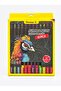 Jumbo Neon Colour Pencils | Pack of 12 Pcs